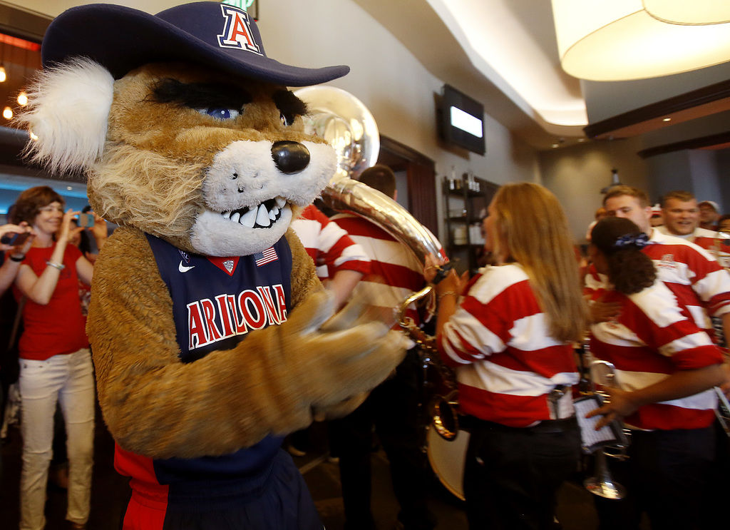 Wilbur T. Wildcat